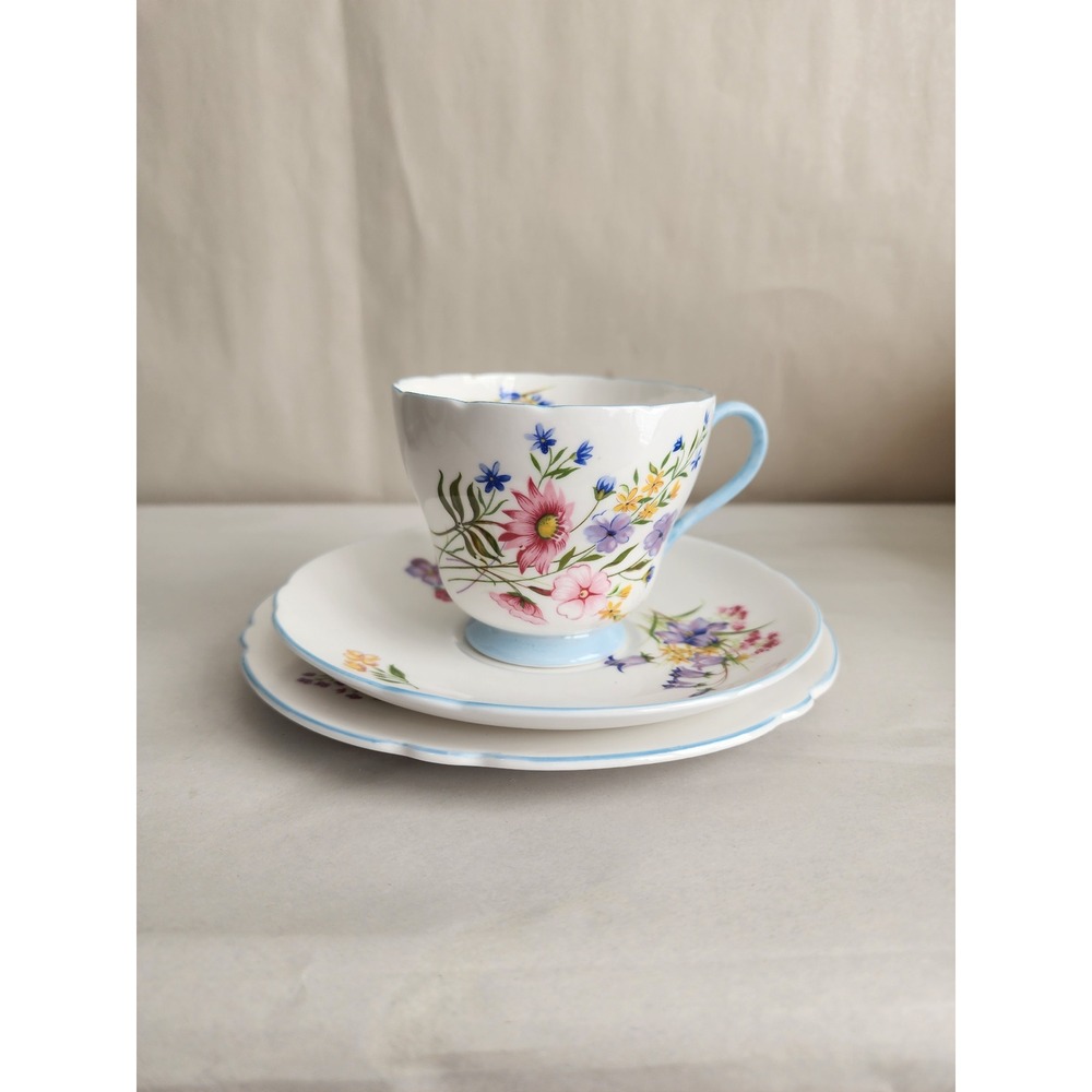 Shelley England Wild Flowers 13668 Fine Bone China Teacup Saucer Plate Trio Set